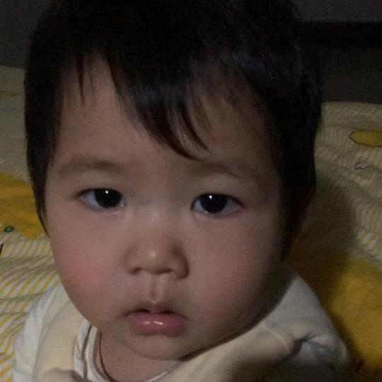 小熊4岁