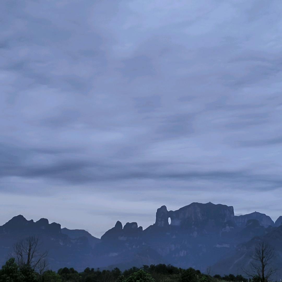 明天再说呗！🐕