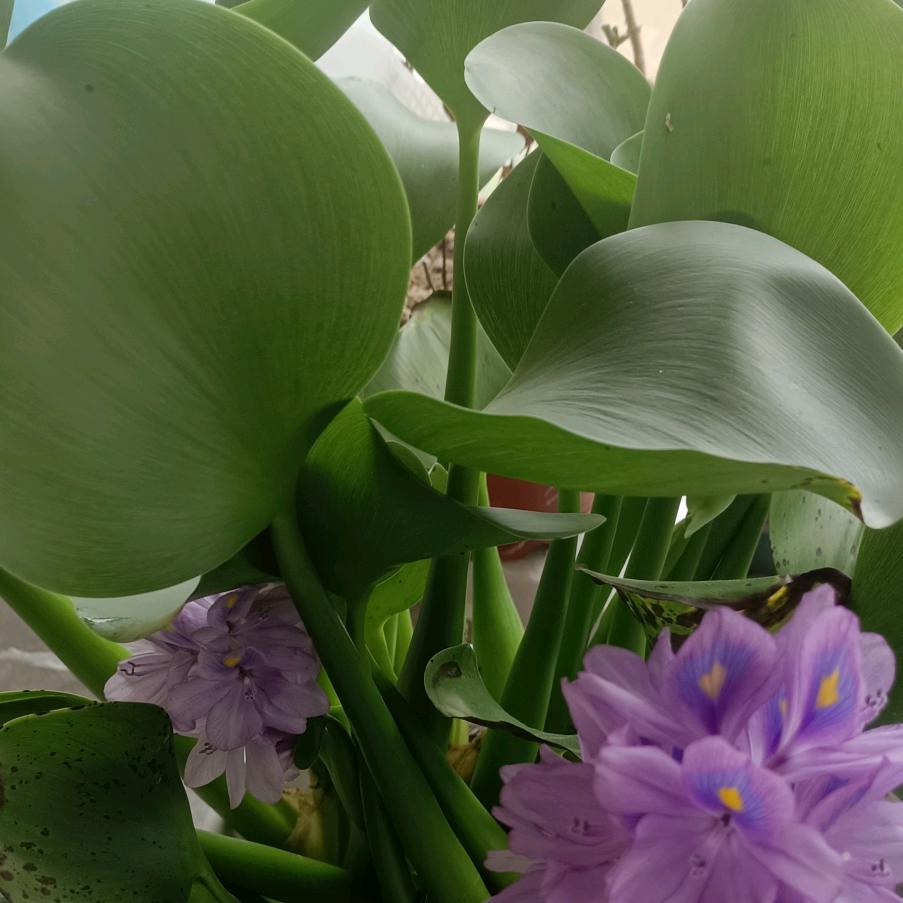 🦋ꦿ໊余生᭄🕊安好᭄