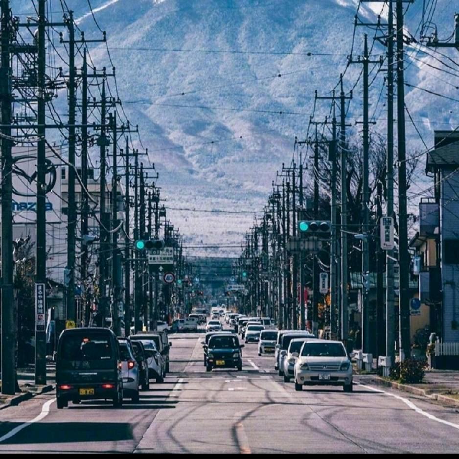 心若向阳