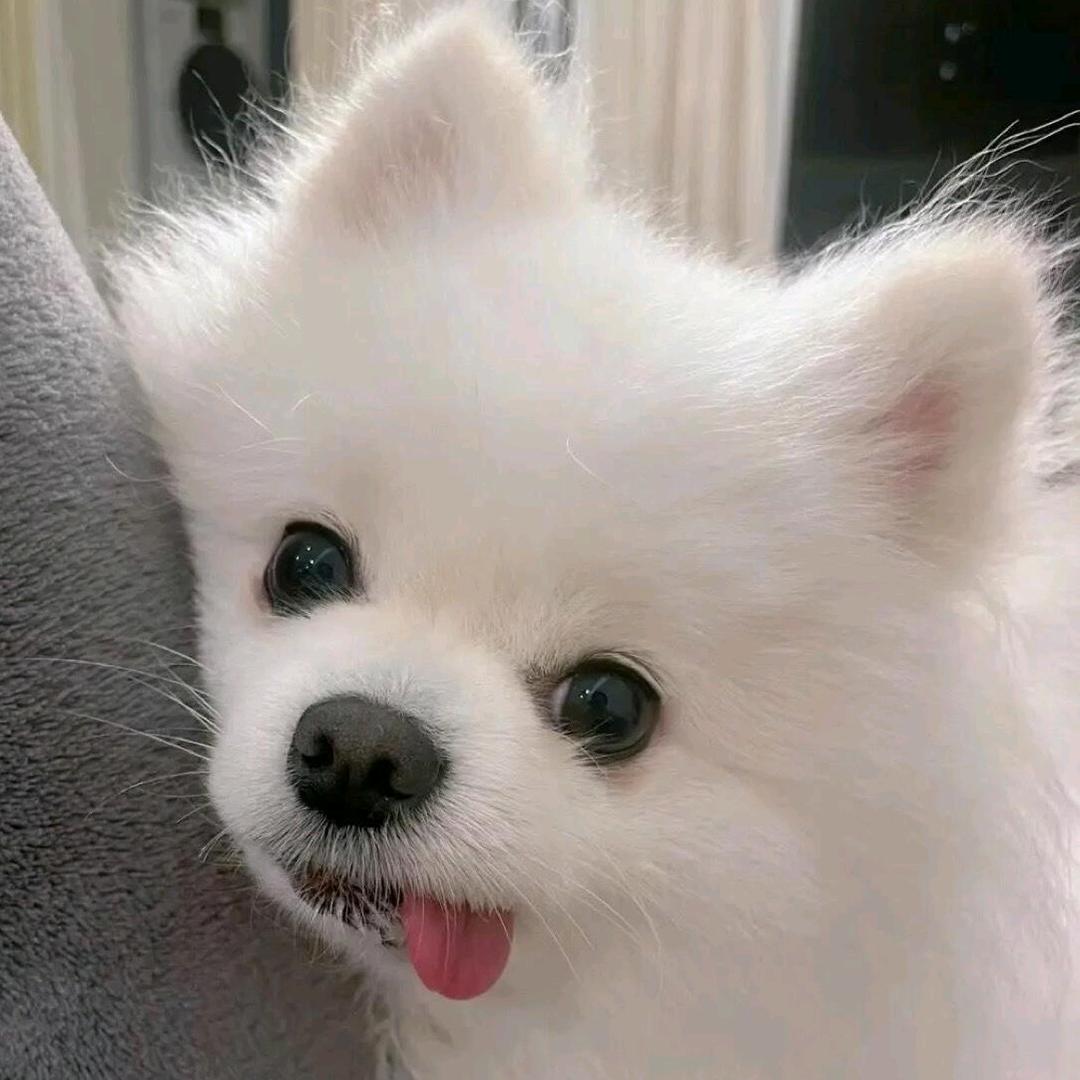 光何中百货愉愉