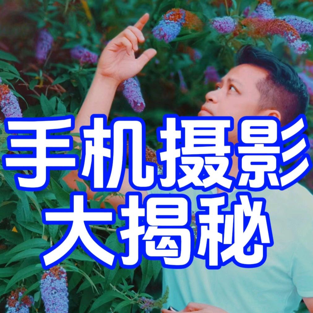 艺哥随拍