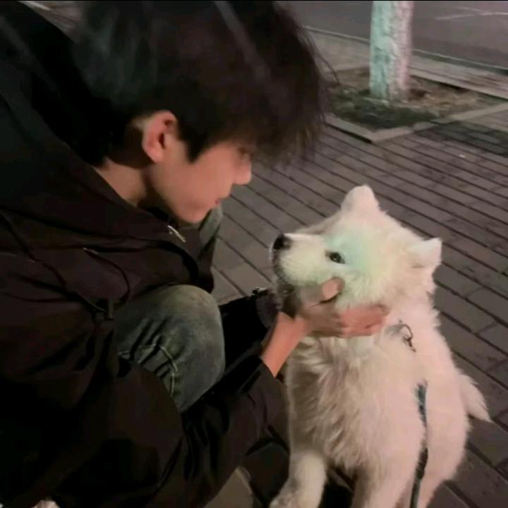 Kevin★