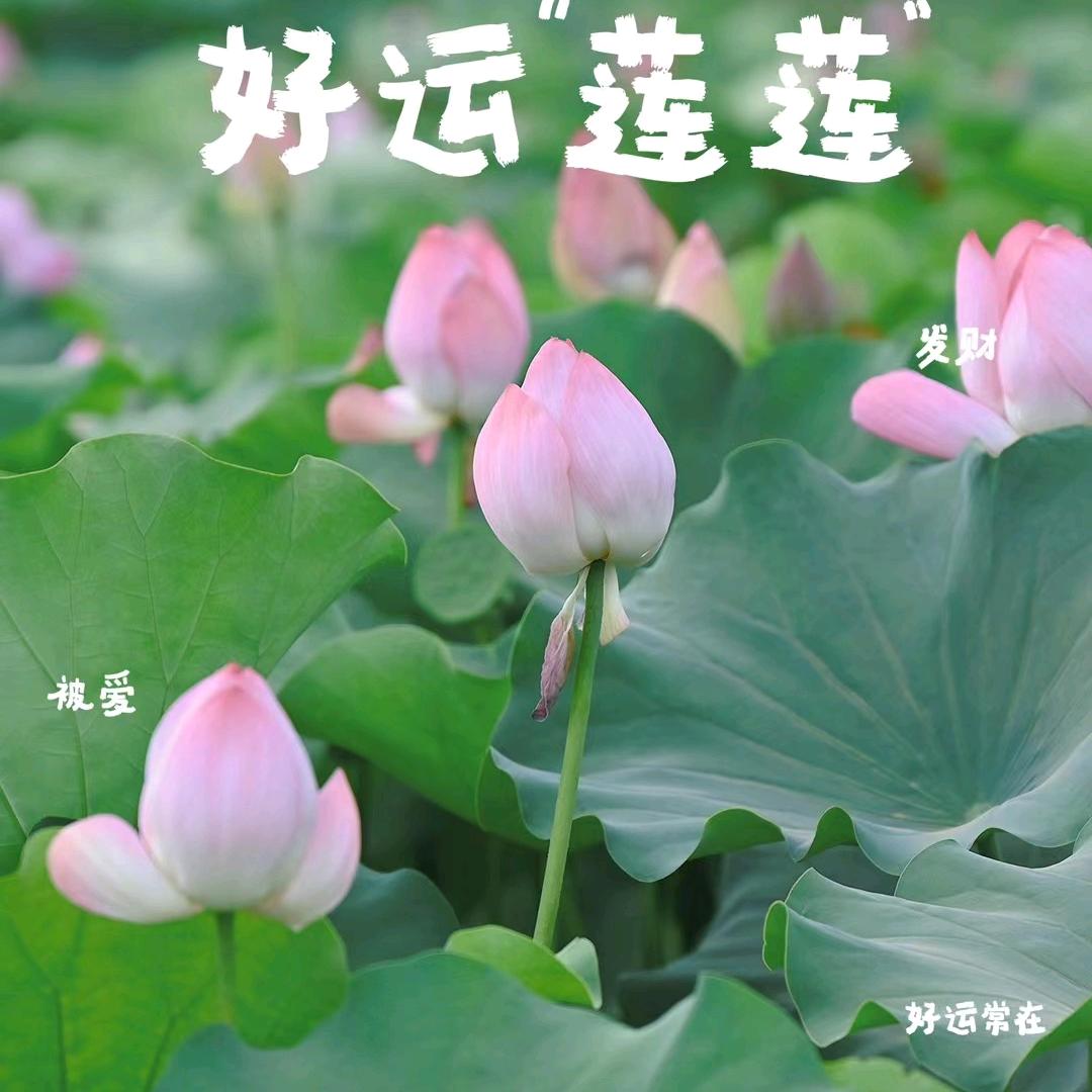 芊一、沐阳奶奶