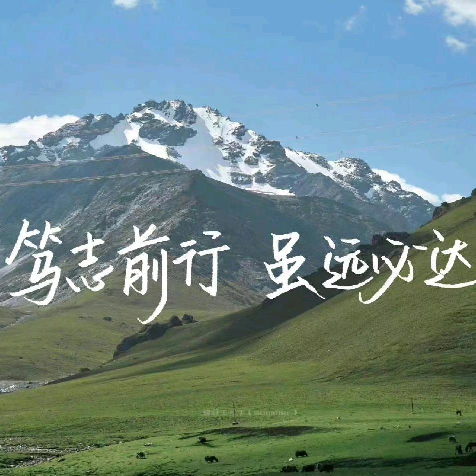 隆基甄选