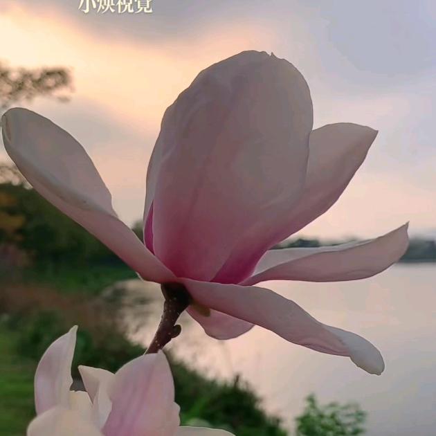 依然