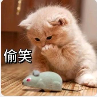 ꧁❤️ 雨♥季♥倾♥城♥封❤️票꧂