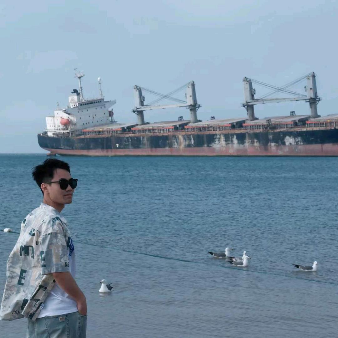 樱花树下的不笑猫