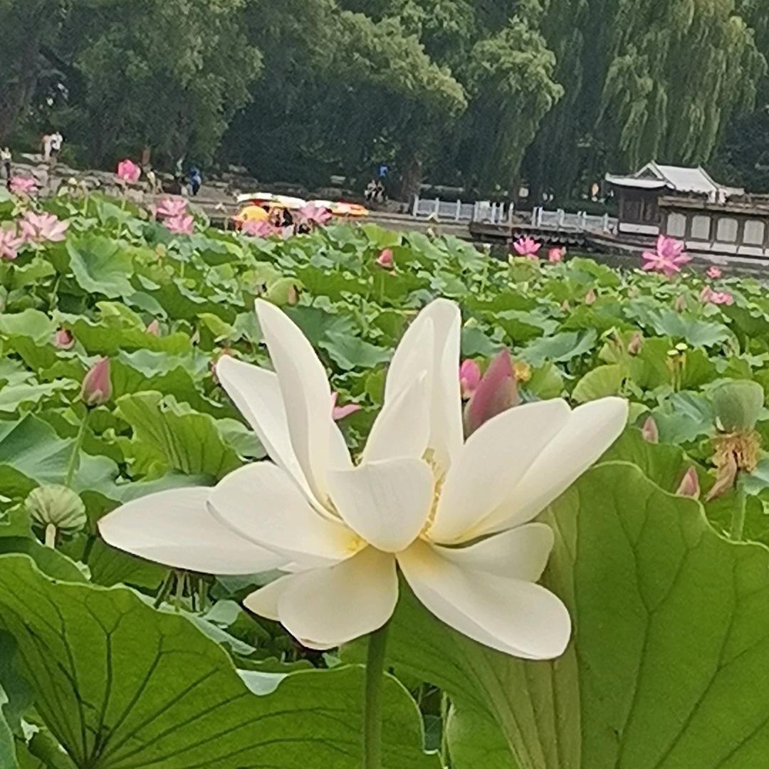 惠友一层惠友通讯