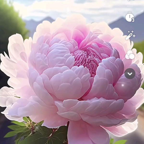 奔向幸福