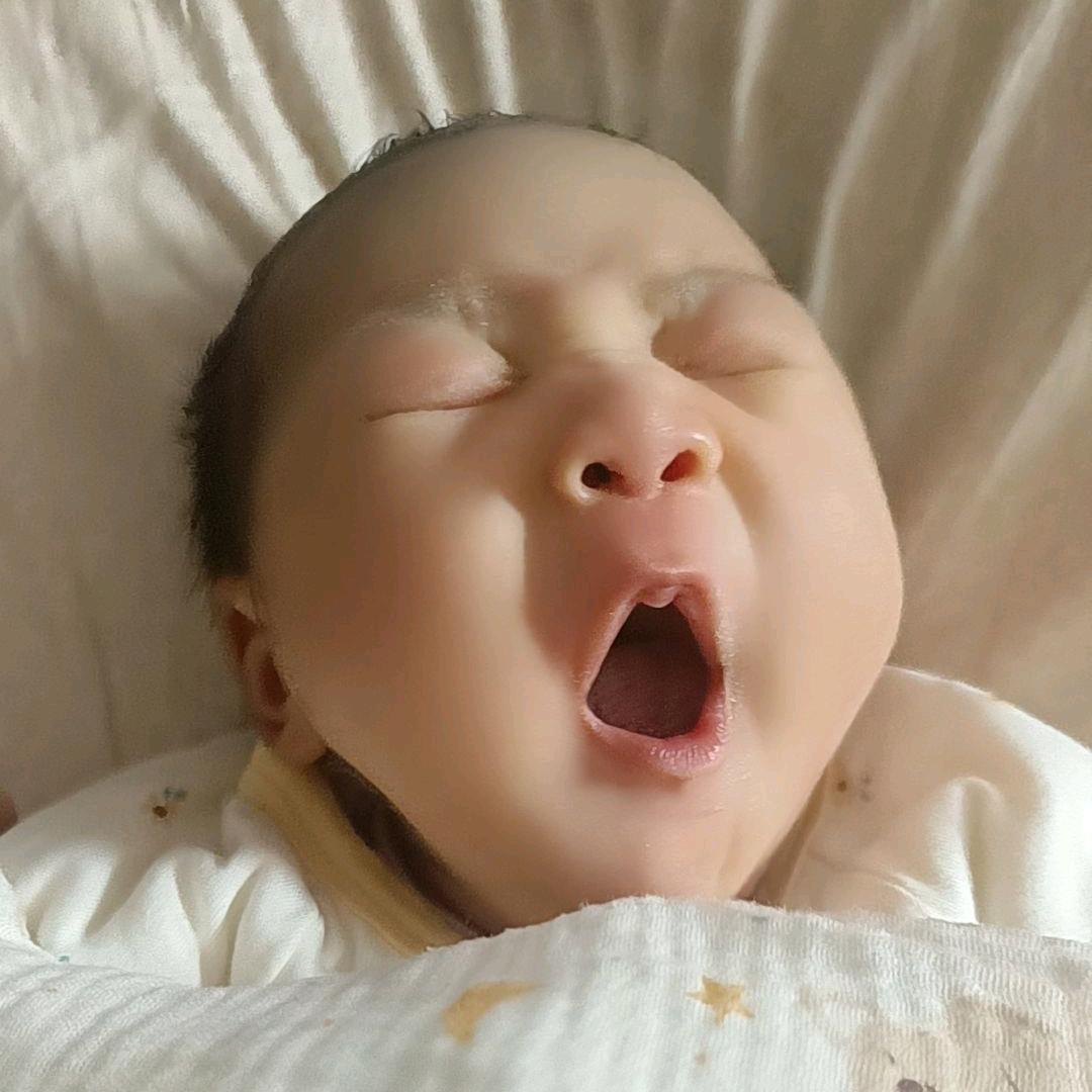 王大美和王大帅