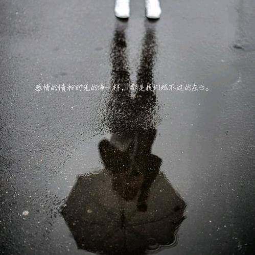 涅槃重生🐯🐯🐶