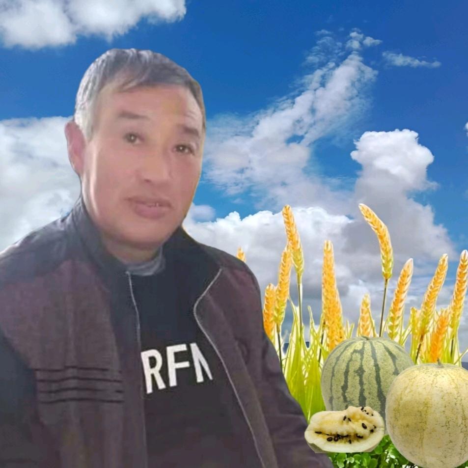 青苗～种业