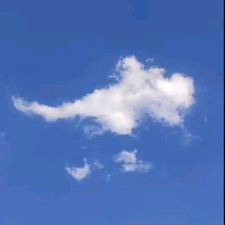 天道酬勤