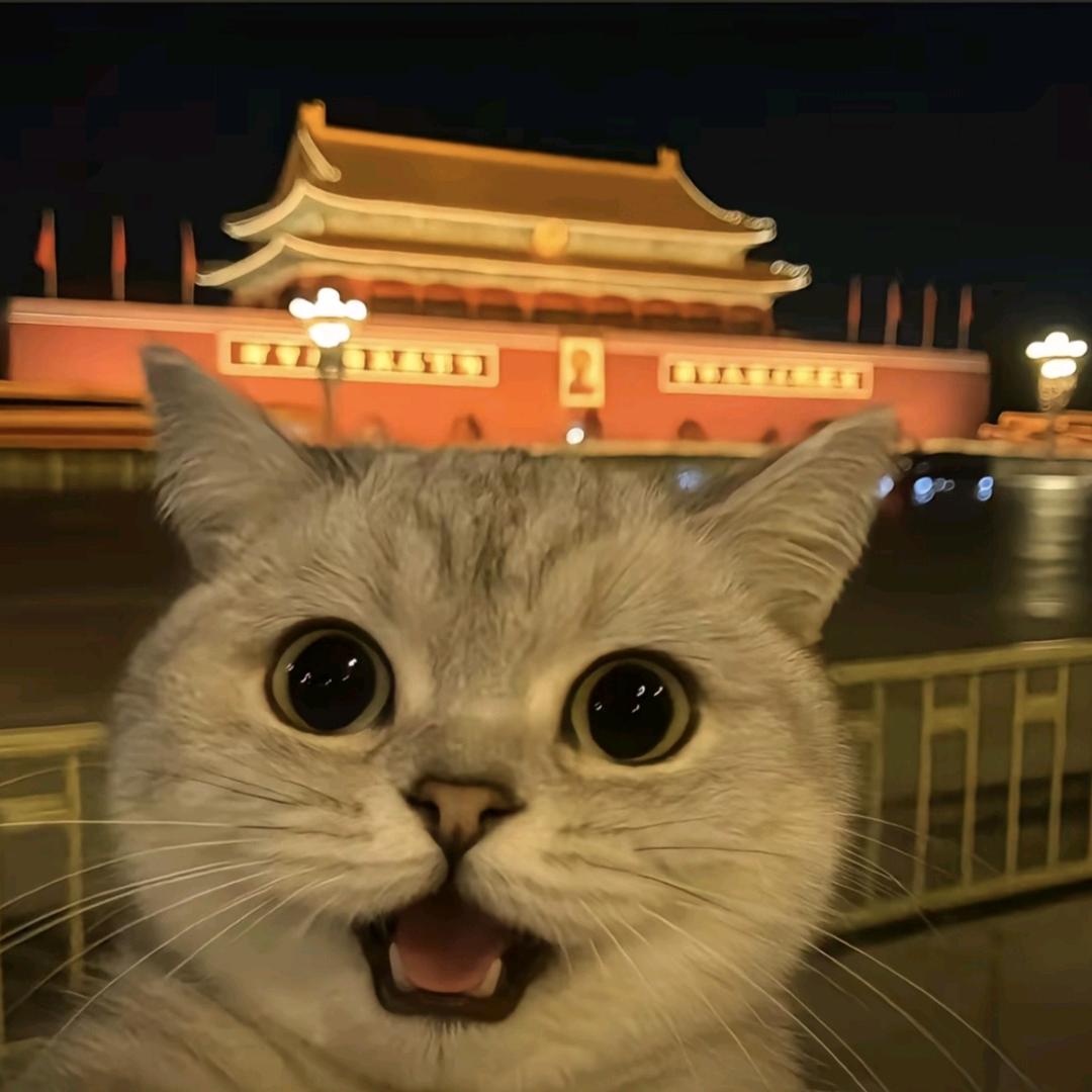 王王大礼包
