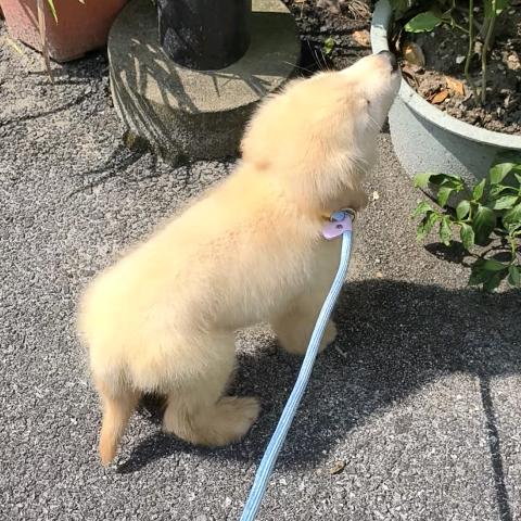 破 烂（戒烟版）