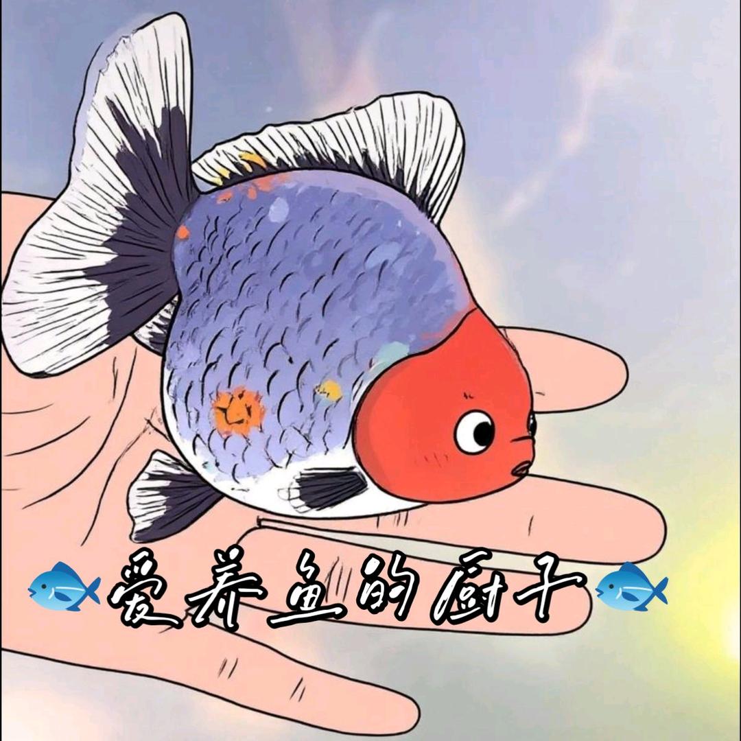 🐟爱养鱼的厨子🎣