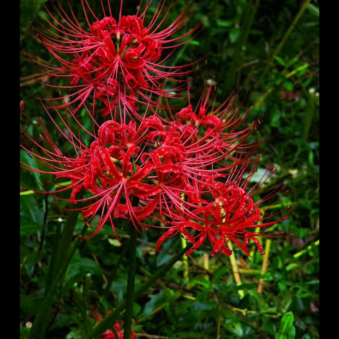 ˶o̴̶̷᷄‸o̴̶̷̥᷅˶一帆风顺