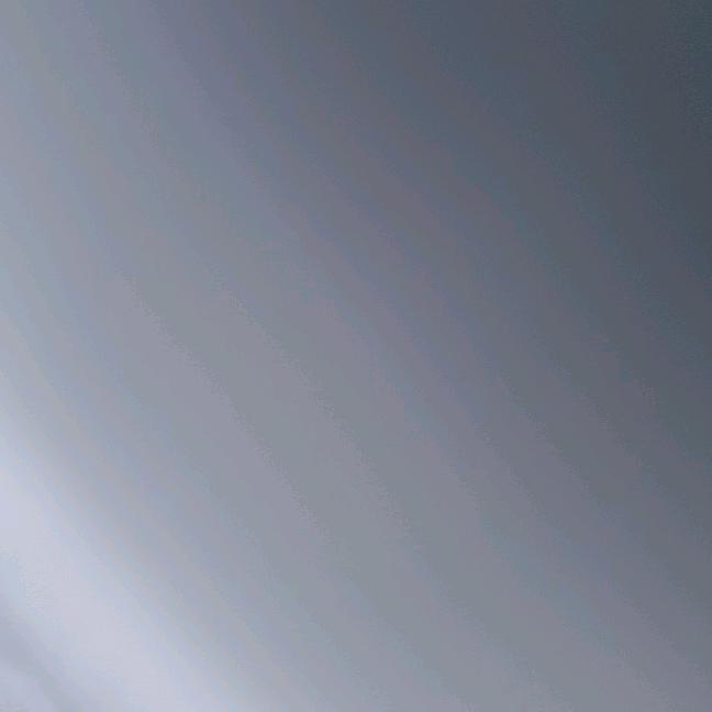 雁南飞