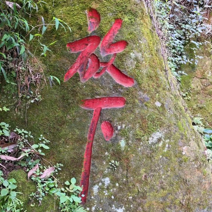 𝒀𝑳𝑮🍊…放下