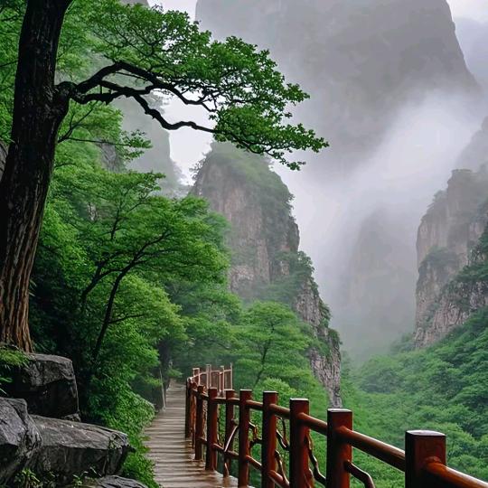 @万量黄金@