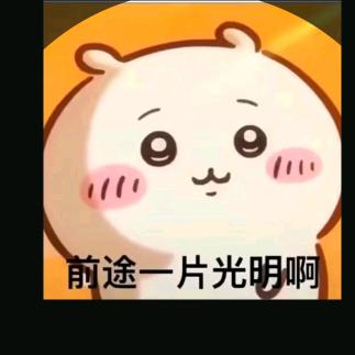 小胖做测试(软测培训后做测试3年了)