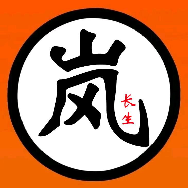 岚长生（和平精英）