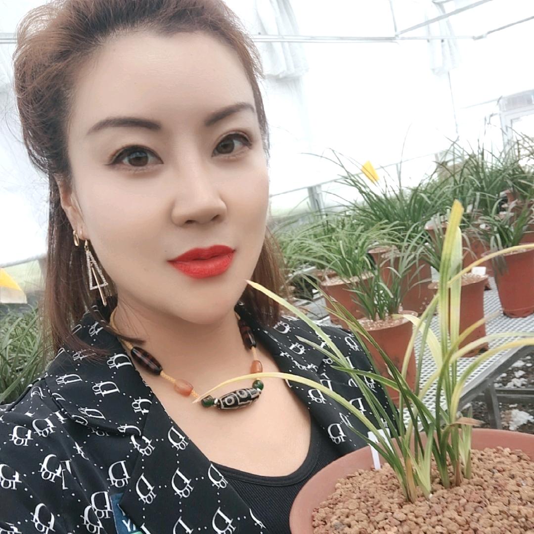 蕙兰🌾🌾舞动