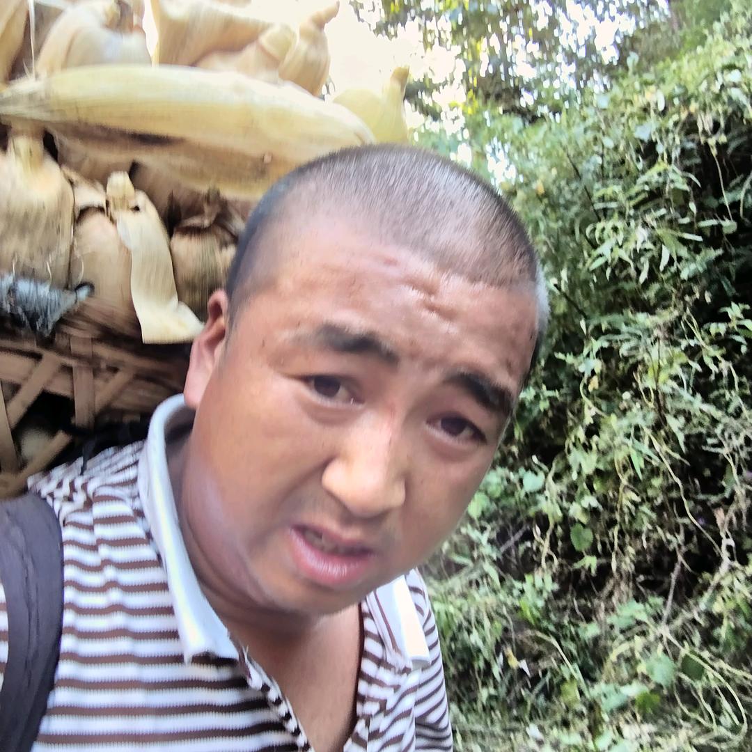风中奇缘
