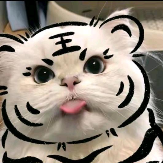 加载中76685