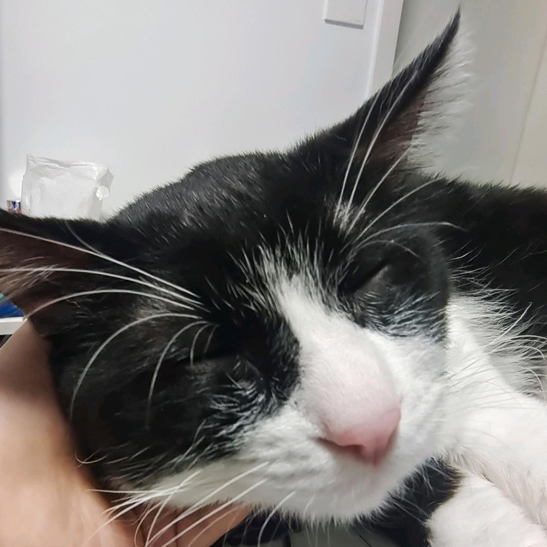 鄢达荣品质市集