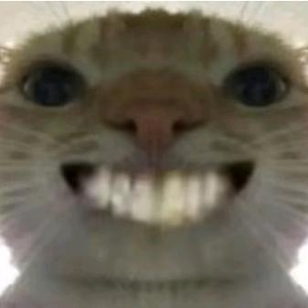 大坝捡垃圾（跑刀鼠）