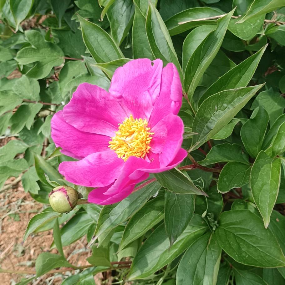 @快乐每①天
