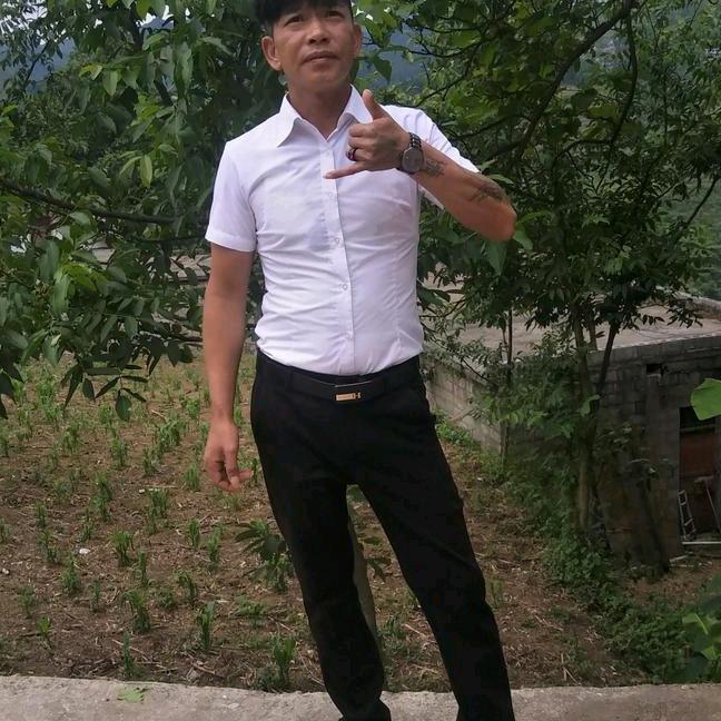 一生只为你守候杨逍1821654481