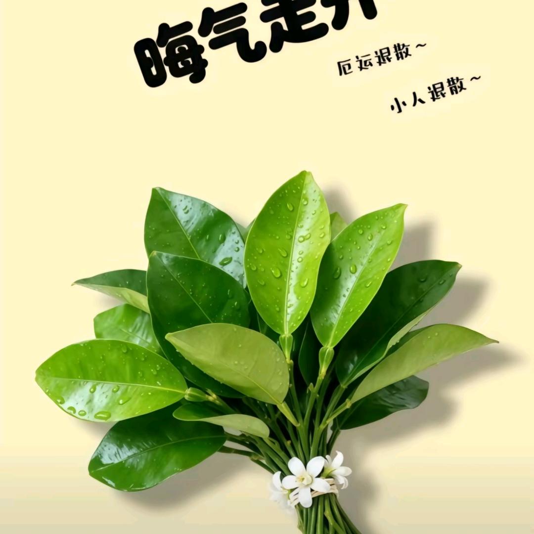 一切皆有利于我