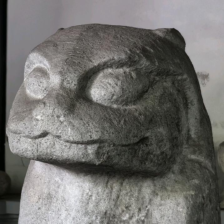 郁离的猫