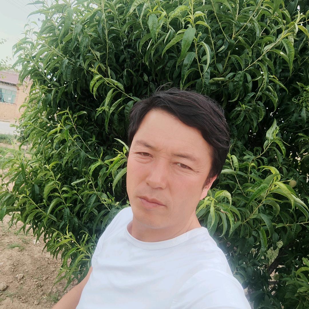 装傻