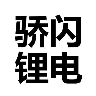 安徽阜阳骄闪锂电