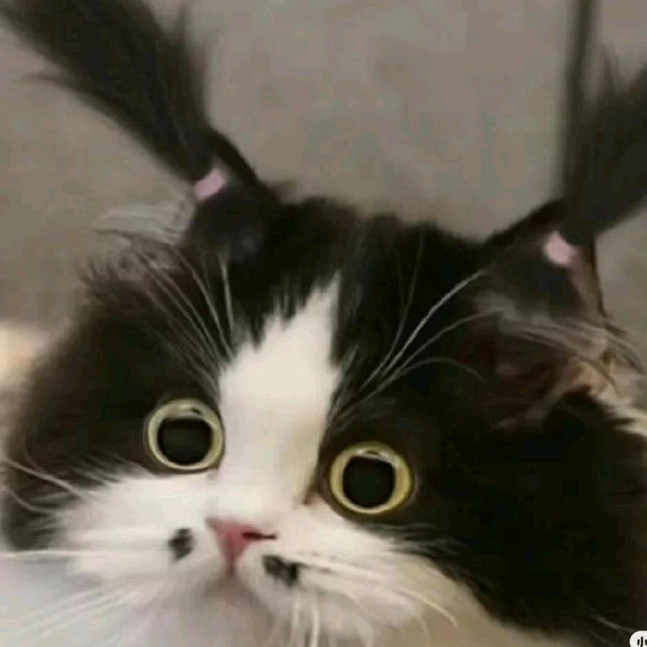 广安房产 小唐