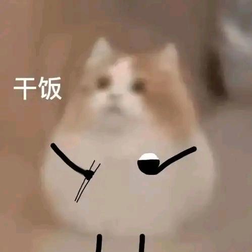 想吃🍔🍟🍝🥮🍛🍡🥐🍣🍦