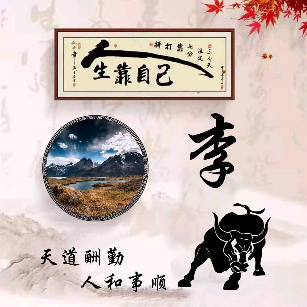 🐬会飞的鱼🐬