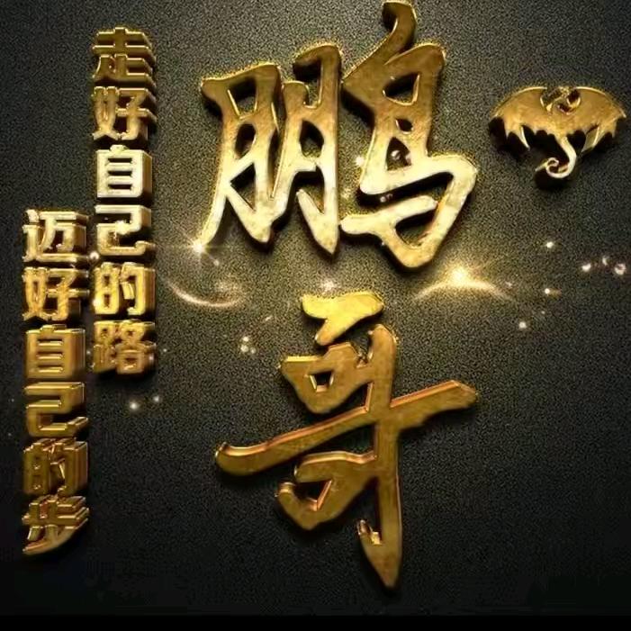 山东鹏哥