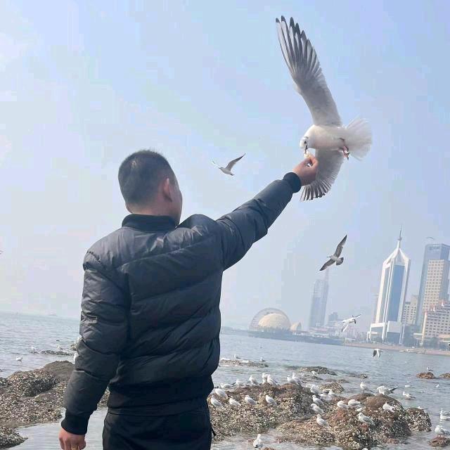 杰哥