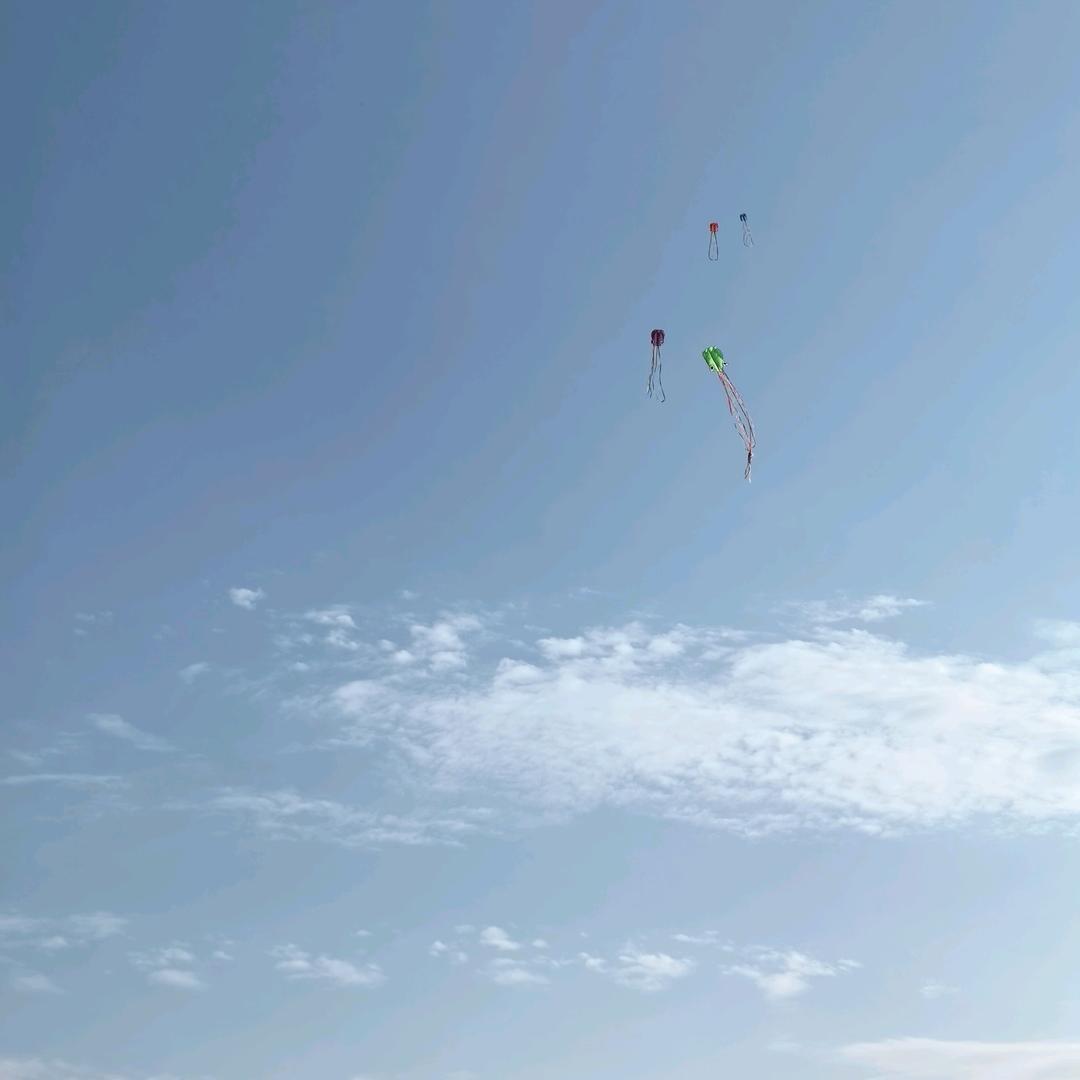 Lambert（吉安家教傅老师）