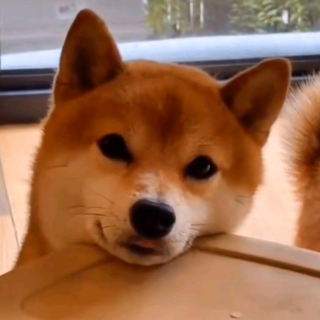 王玄砚