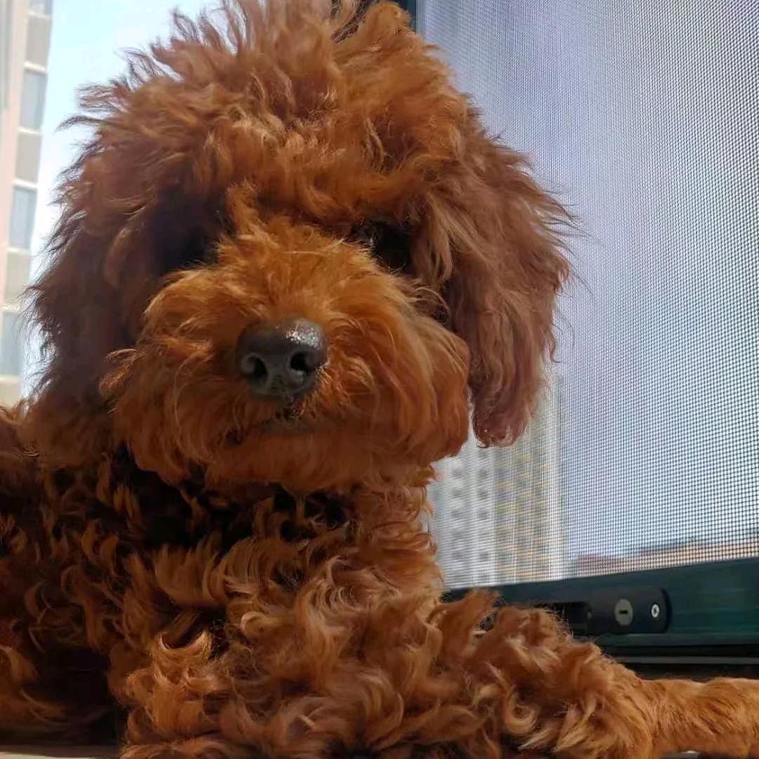 安琪（勿连赞💕）☀️⁹⁹²¹
