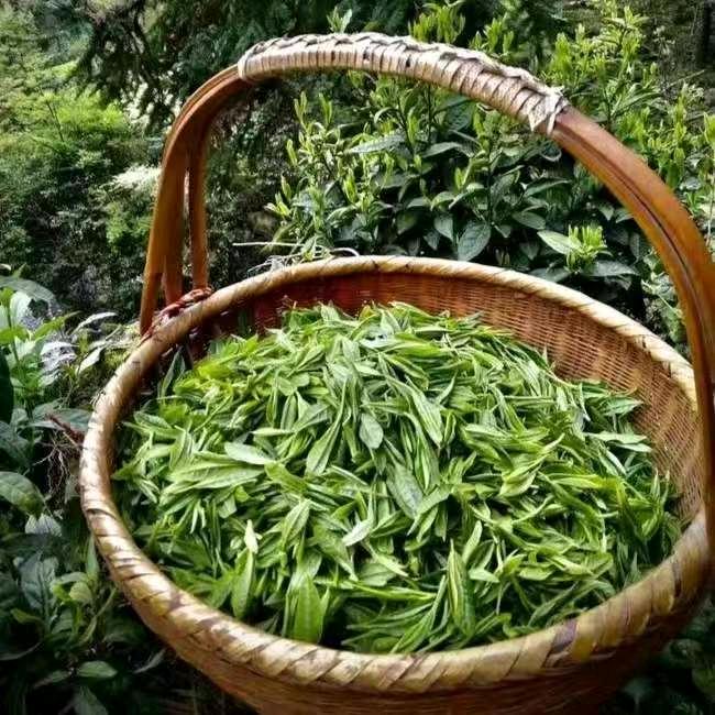 迈香农产品臻选阁