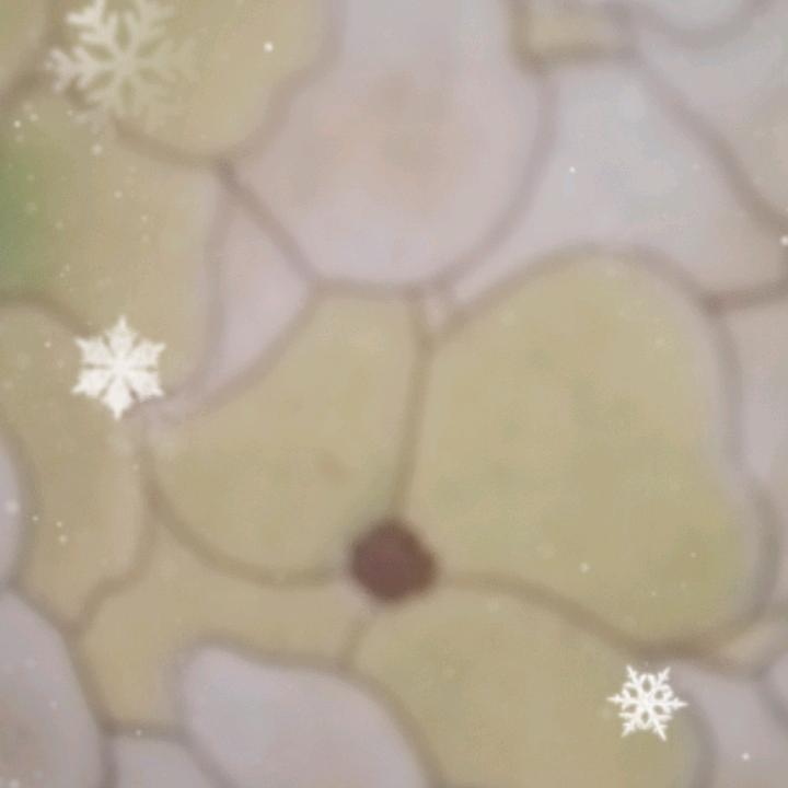 幸福来了
