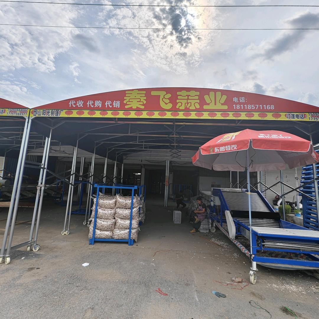 秦飞蒜业
