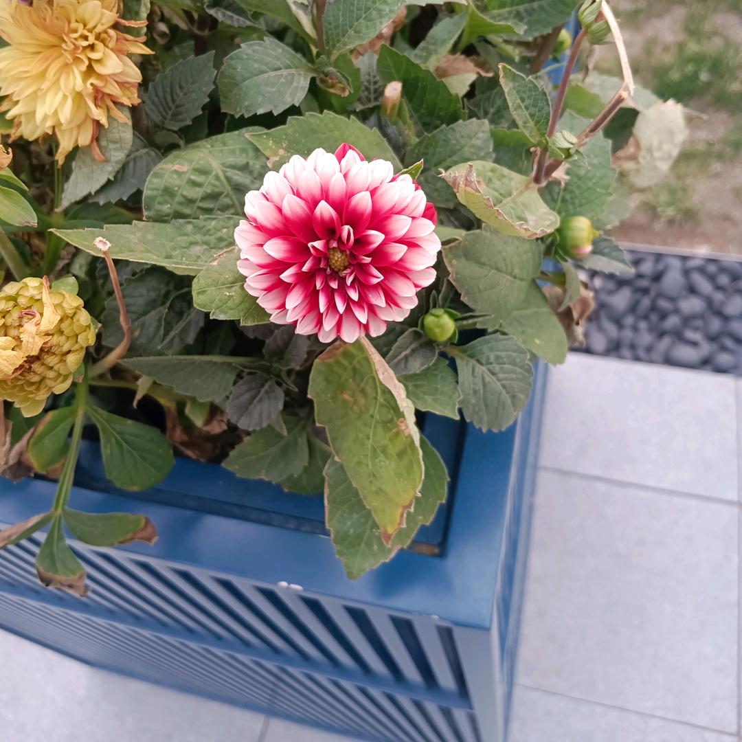 瑛@